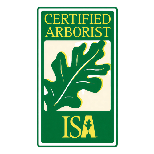 CERTIFIRD ARBORIST